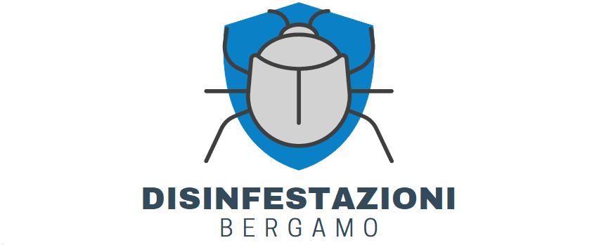 Disinfestazioni Bergamo