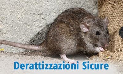 derattizzazione