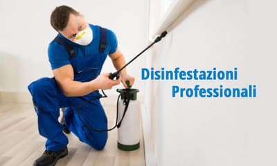 disinfestazione professionale