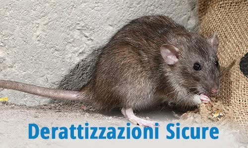 derattizzazione