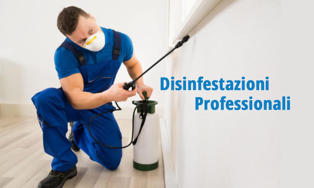 disinfestazione professionale